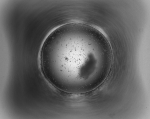 X0000099971056200805301330