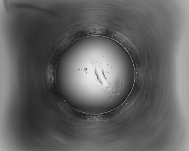 X0000099971058200805301329