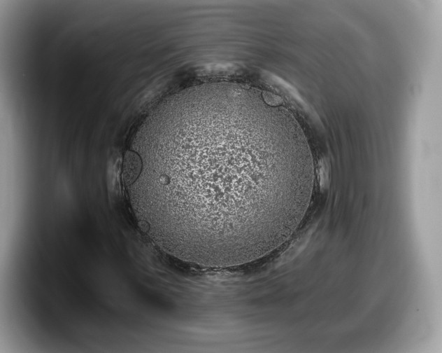 X0000099971059200805301329
