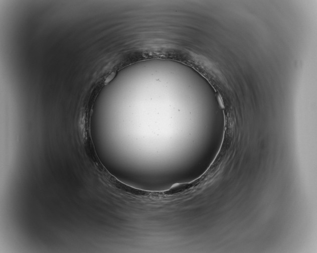 X0000099971060200805301329