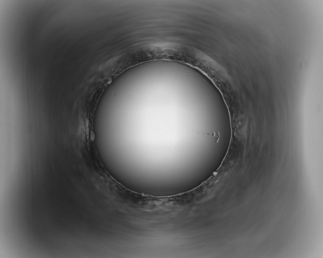 X0000099971061200805301329