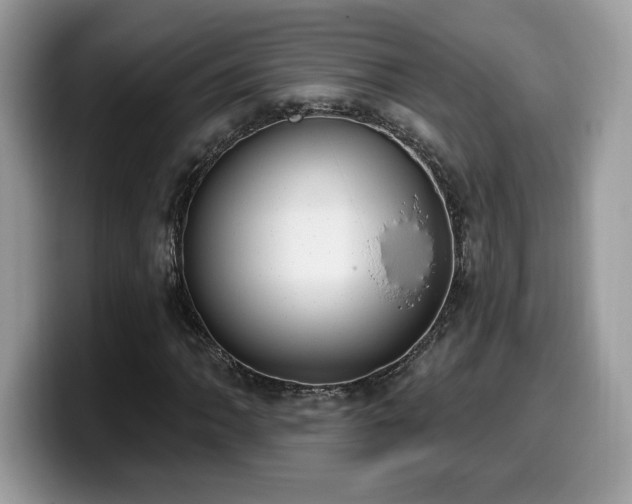 X0000099971062200805301329