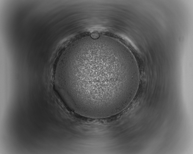 X0000099971063200805301329