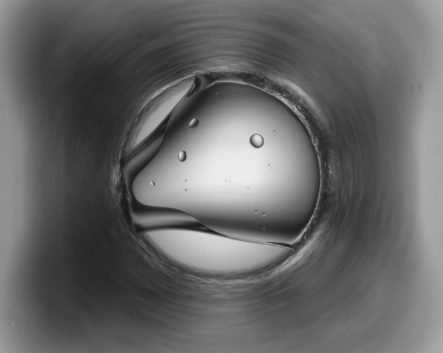 X0000099971065200805301329