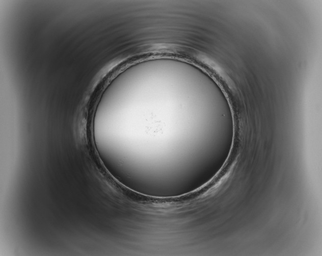 X0000099971066200805301329