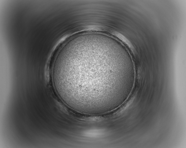 X0000099971067200805301329