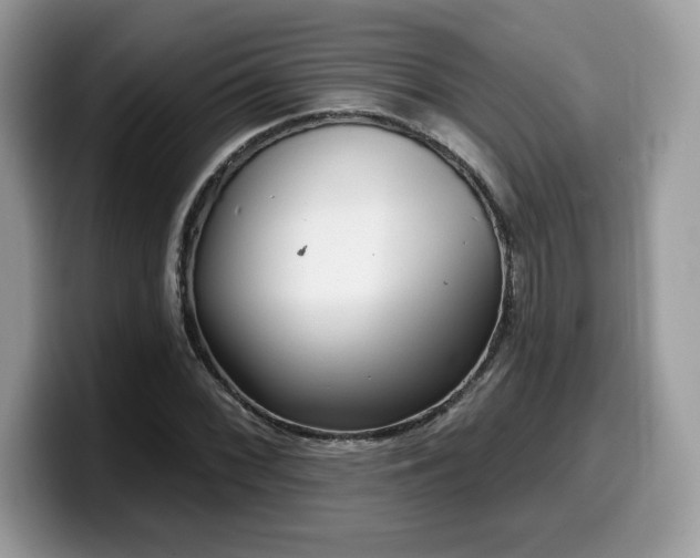 X0000099971068200805301329