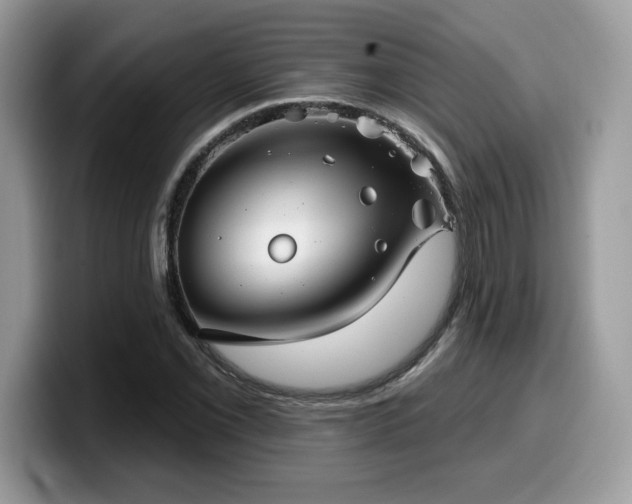 X0000099971069200805301329