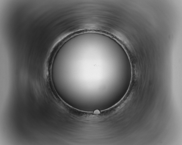 X0000099971070200805301329