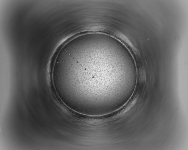 X0000099971071200805301329