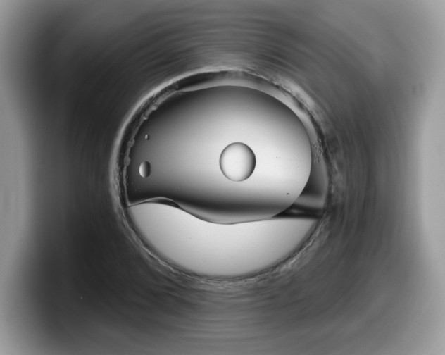 X0000099971072200805301329