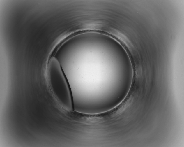 X0000099971077200805301329