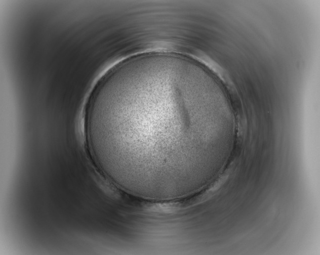 X0000099971078200805301329