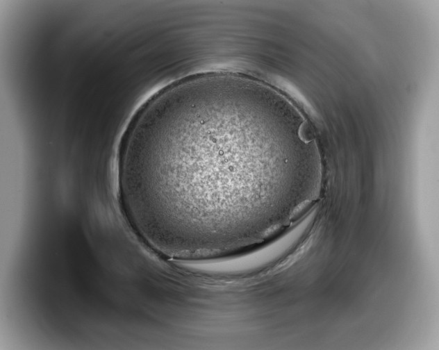 X0000099971079200805301329
