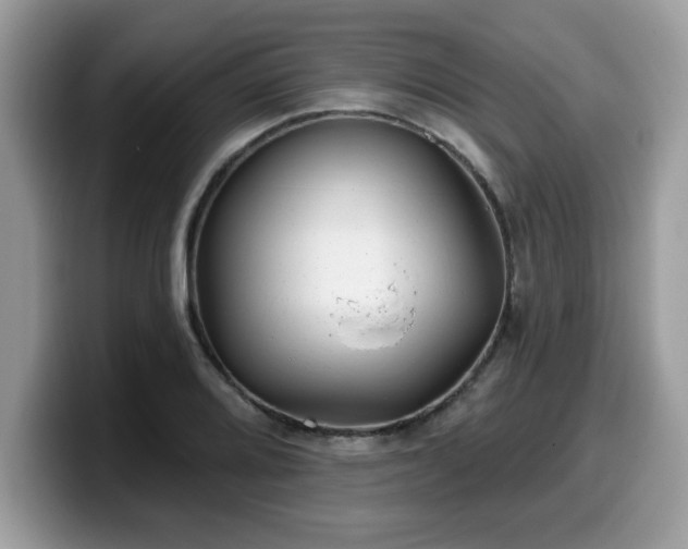 X0000099971080200805301329