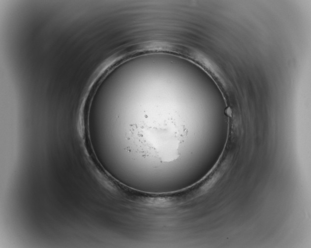 X0000099971082200805301329