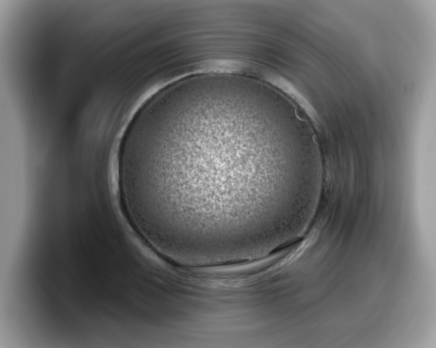 X0000099971083200805301329