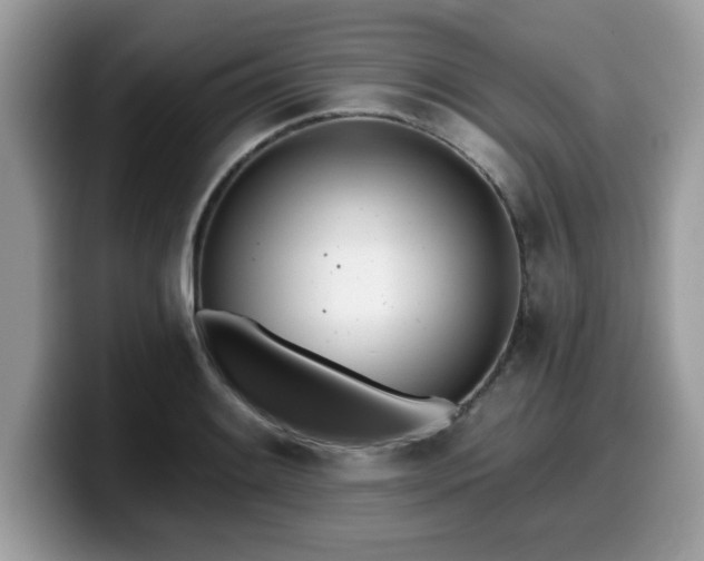 X0000099971084200805301329