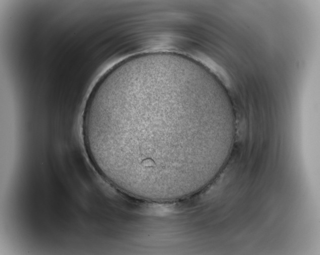 X0000099971086200805301329