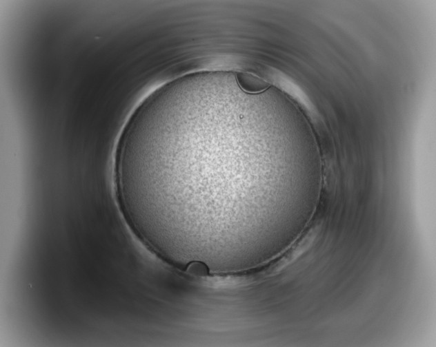 X0000099971087200805301329