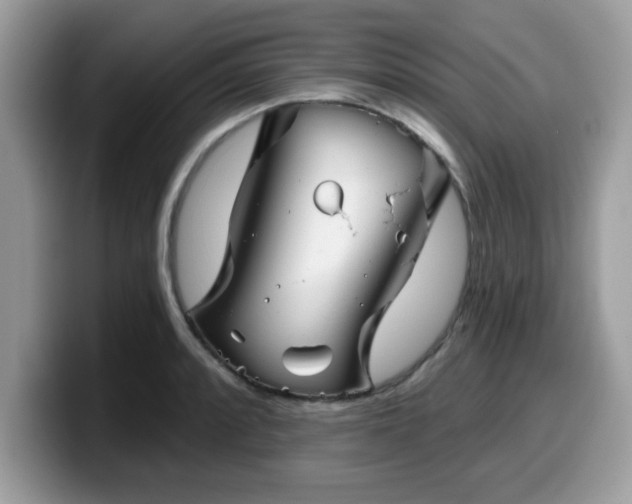 X0000099971088200805301329