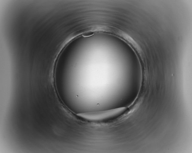 X0000099971089200805301329