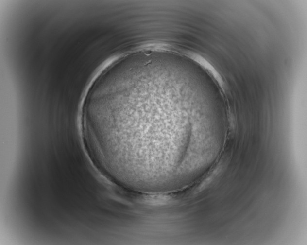 X0000099971090200805301329