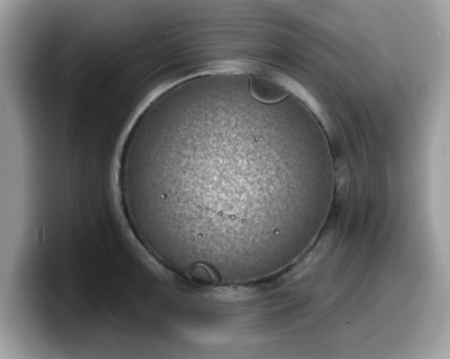 X0000099971091200805301329