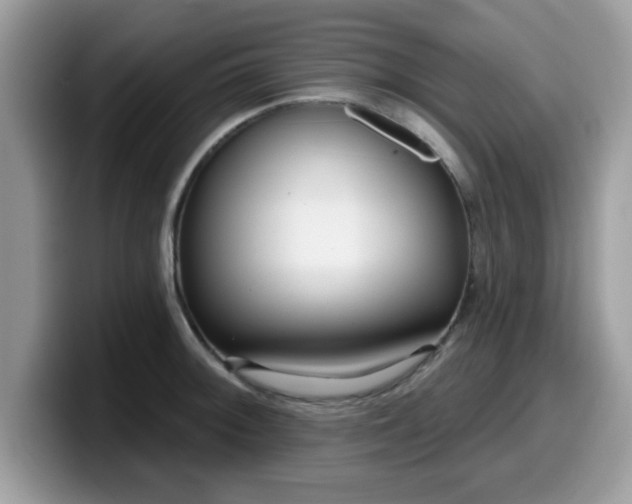 X0000099971092200805301329