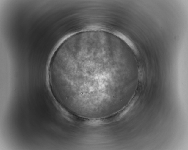 X0000099971094200805301329