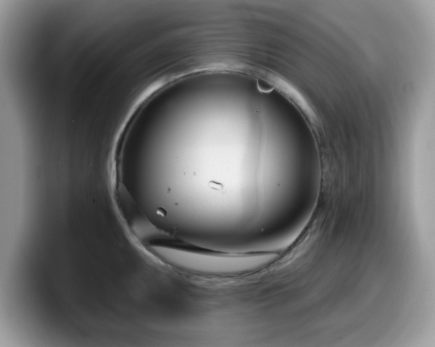 X0000099971095200805301329