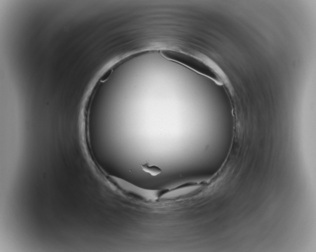 X0000099971096200805301329