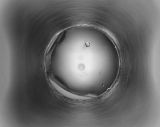 X0000099971097200805301329