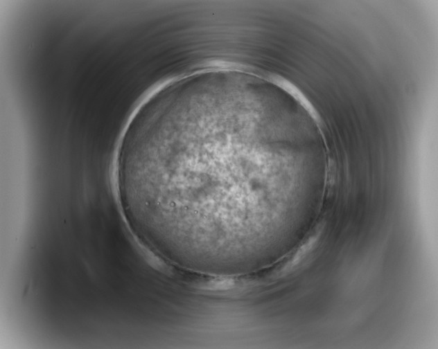 X0000099971098200805301329