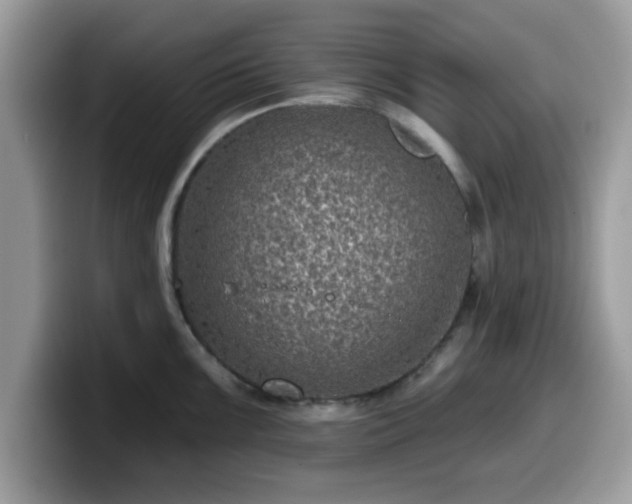 X0000099971099200805301329