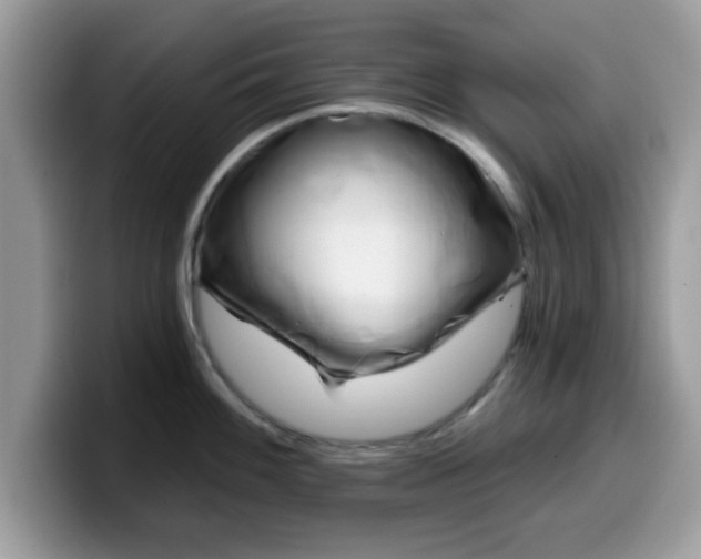 X0000099971100200805301329