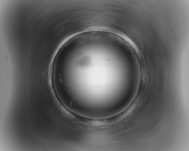 X0000099971102200805301329