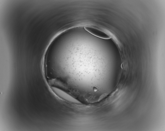 X0000099971103200805301329