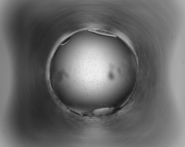 X0000099971104200805301329