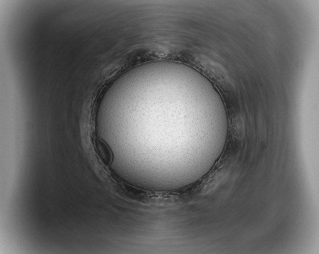 X0000099971105200805301328