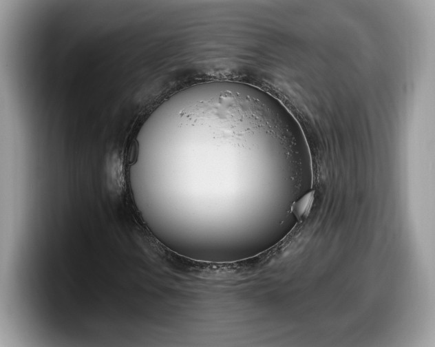 X0000099971106200805301328