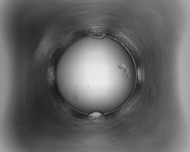 X0000099971107200805301328