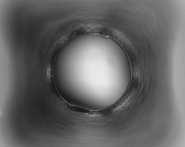 X0000099971108200805301328