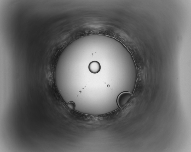 X0000099971109200805301328