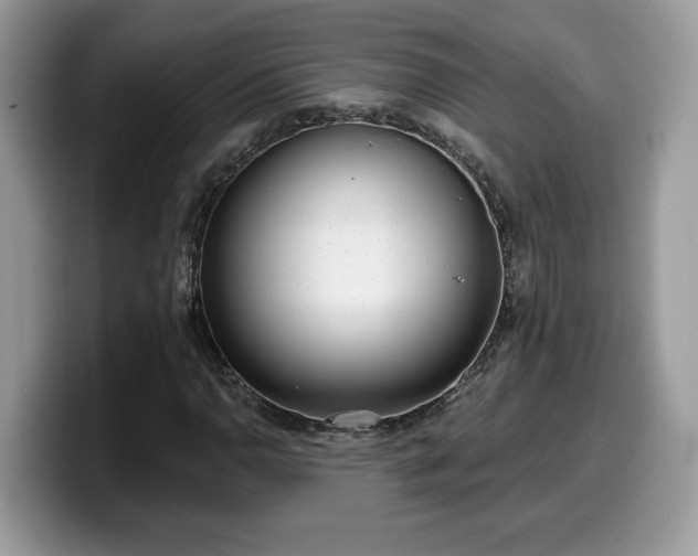 X0000099971110200805301328