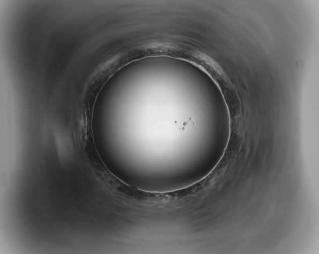 X0000099971111200805301328