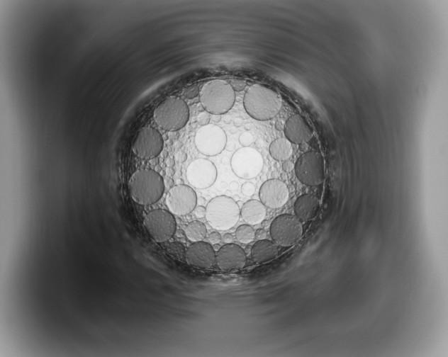 X0000099971112200805301328