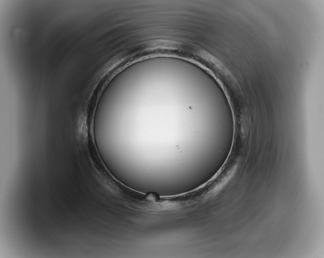 X0000099971113200805301328