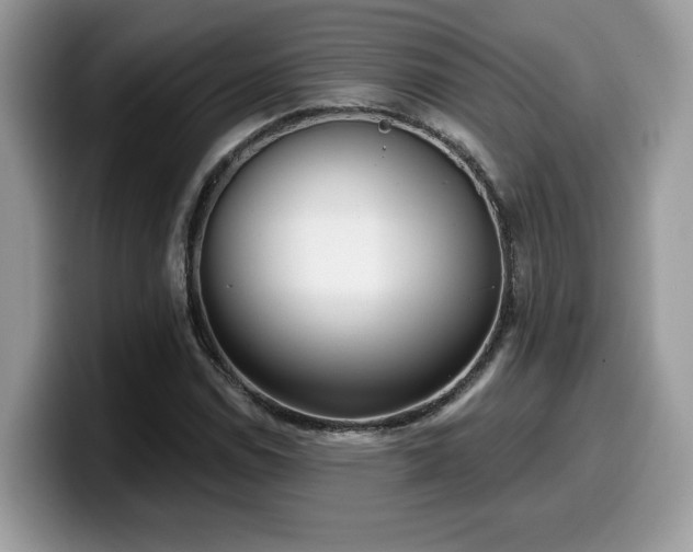 X0000099971114200805301328