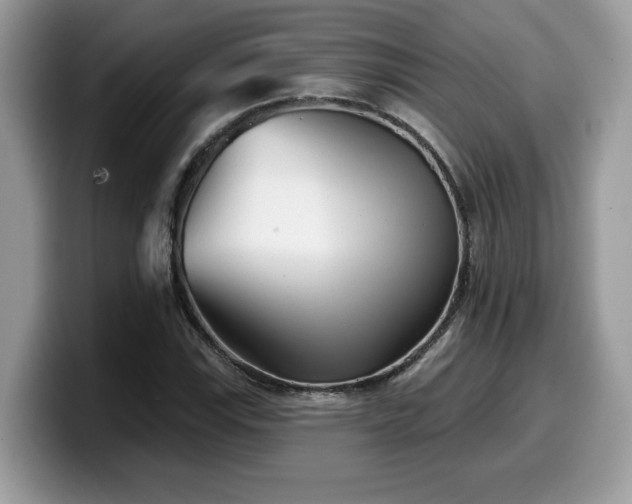 X0000099971115200805301328